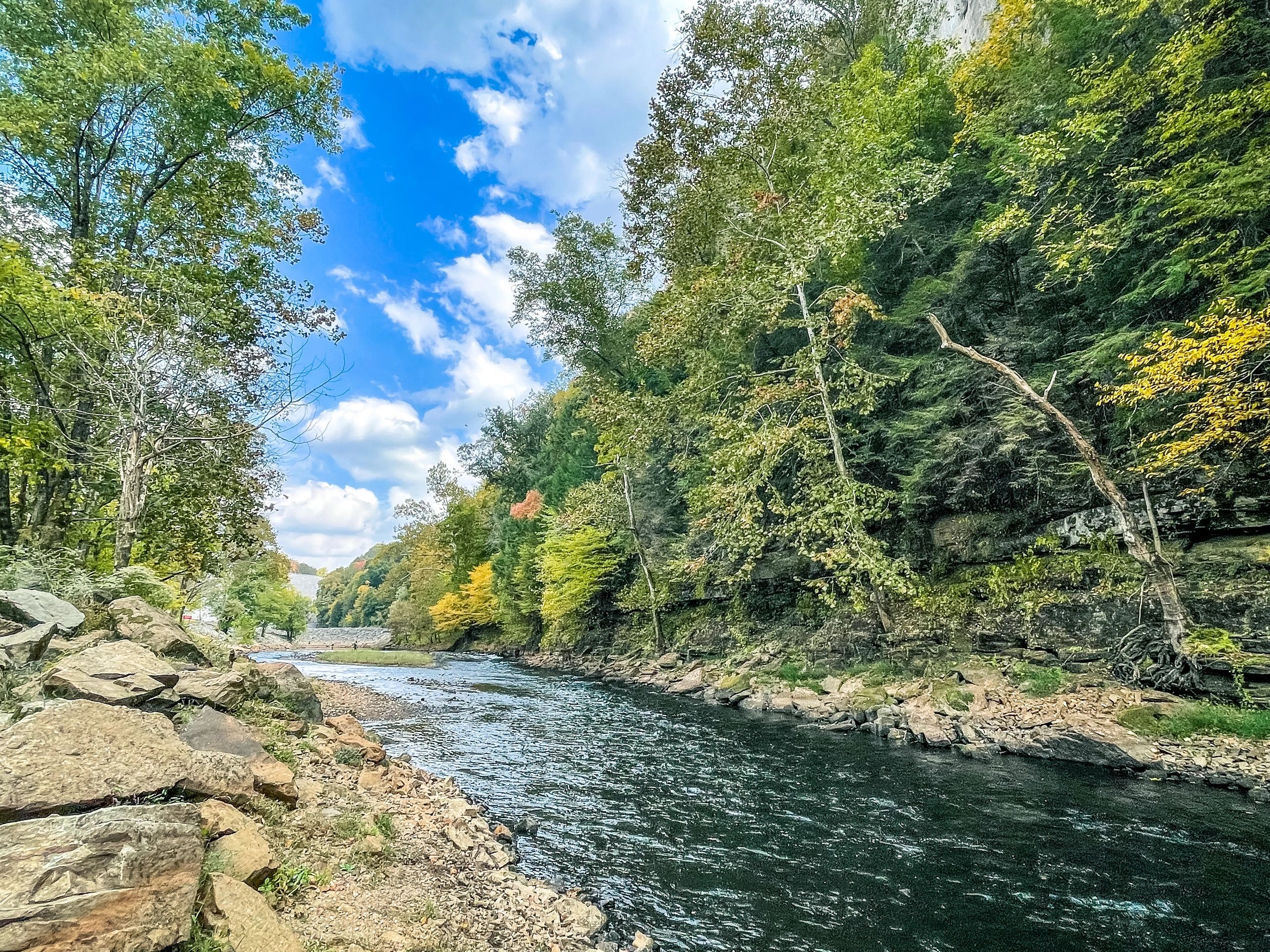 Edmonson County why it’s the natural place to be for Valentines
